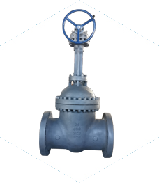 Large diameter check valve